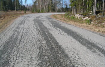 alligator cracking on an asphalt road in a forested area.