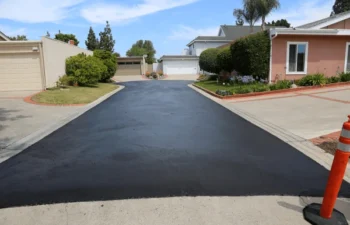 black asphalt driveway that was recently sealcoated