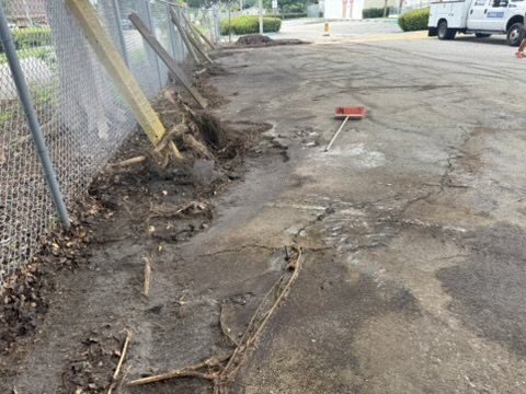 During — the root-damaged run stripped to dirt.